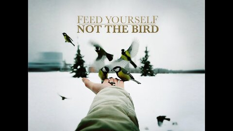 Feed Yourself, Not The Bird - Vladimir Savchuk