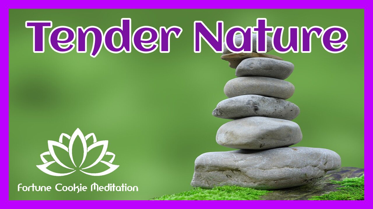 ♥️ [Tender Nature Sounds, Zen Meditation, Relaxing, Calming, Healing Music, Cleanse Your Energy]