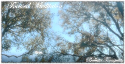 Focused Meditation - Deep Thoughts - Allow your soul to move with the sounds of peace