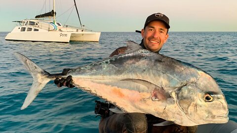 Spearfishing Dream fish on the Great Barrier Reef! (Sailing Popao) Ep.17