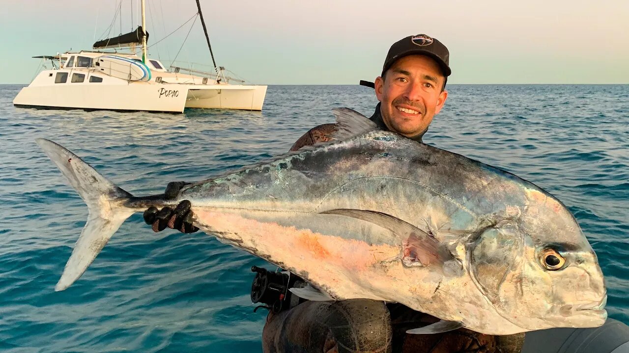 Spearfishing Dream fish on the Great Barrier Reef! (Sailing Popao) Ep.17