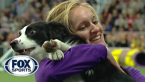 P!nk the border collie wins back-to-back titles at the 2019 WKC Masters Agility | FOX SPORTS