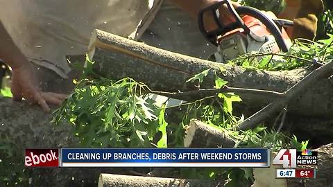 What to do with your brush from Saturday's storm