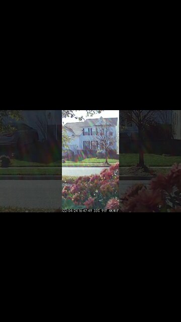 Beautiful Rainbows Caused By The Suns Rays #Shorts 🌈