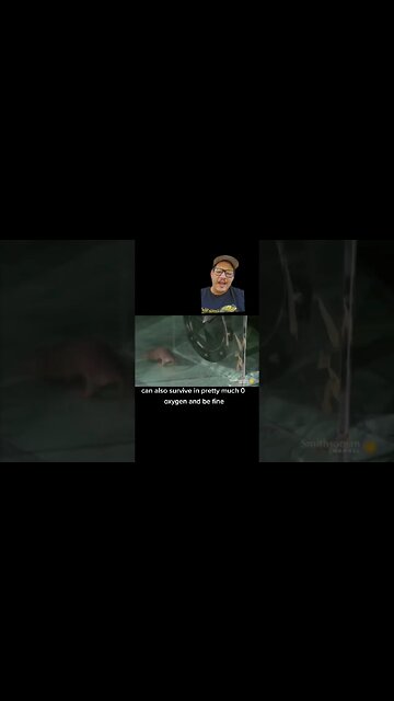 Naked mole rats are way cooler than you thought