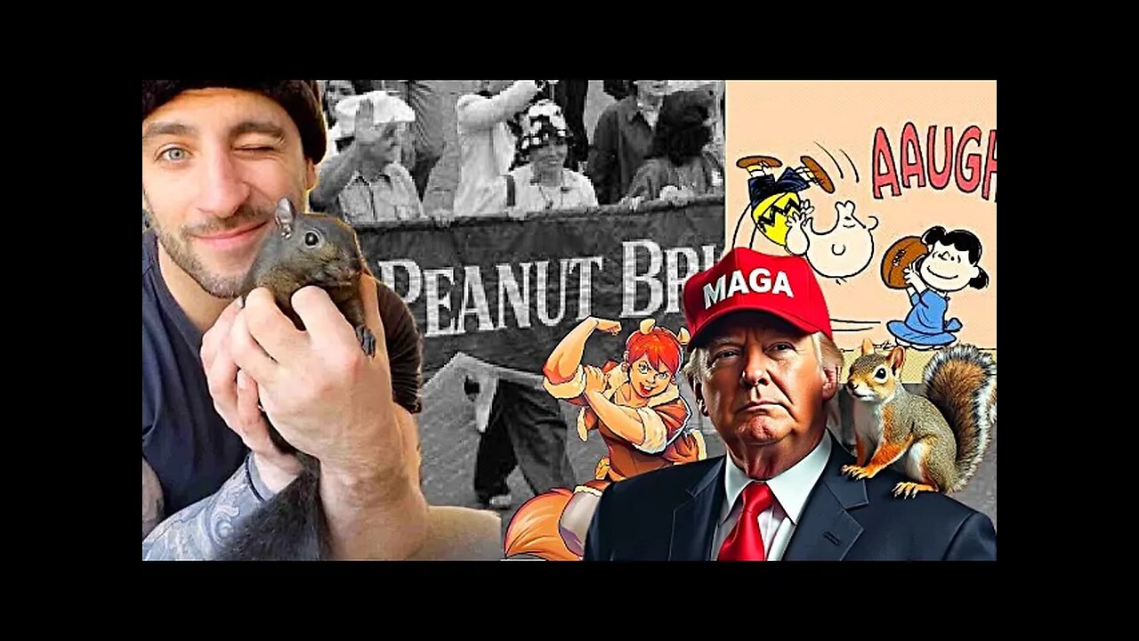PREDICTED 😲The PEANUT the SQUIRREL Tragedy just got 322 X more NUTS! Squirrelly about this ELECTION