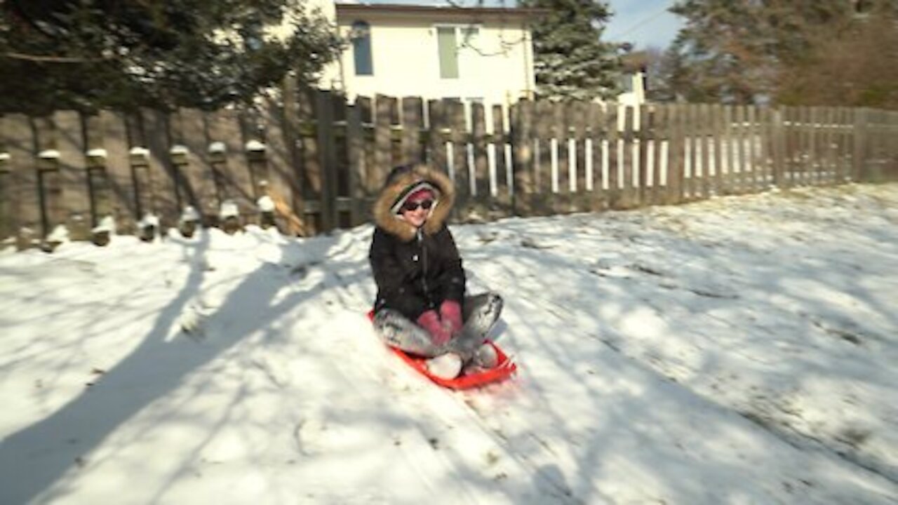 Backyard Sledding Fun!