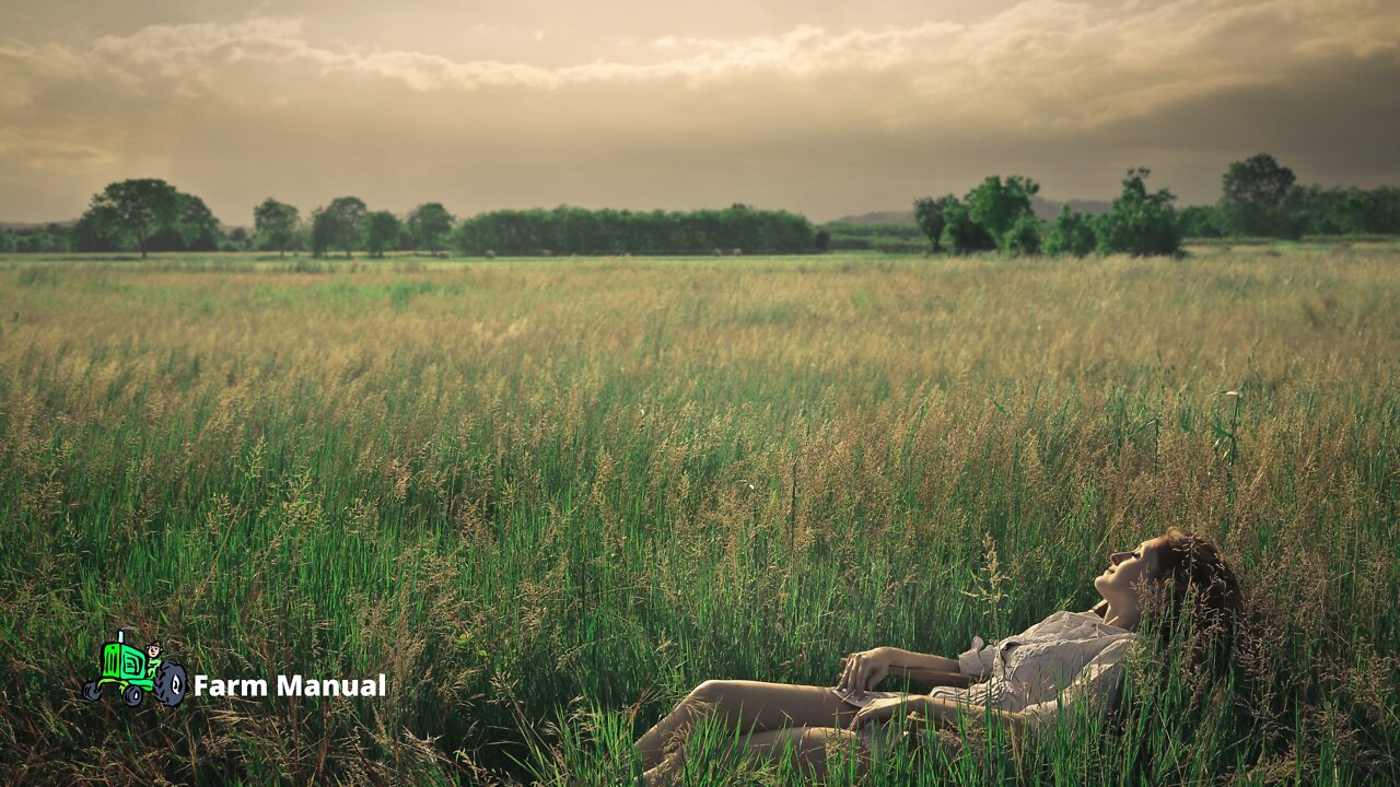 Farm | Relaxing Countryside