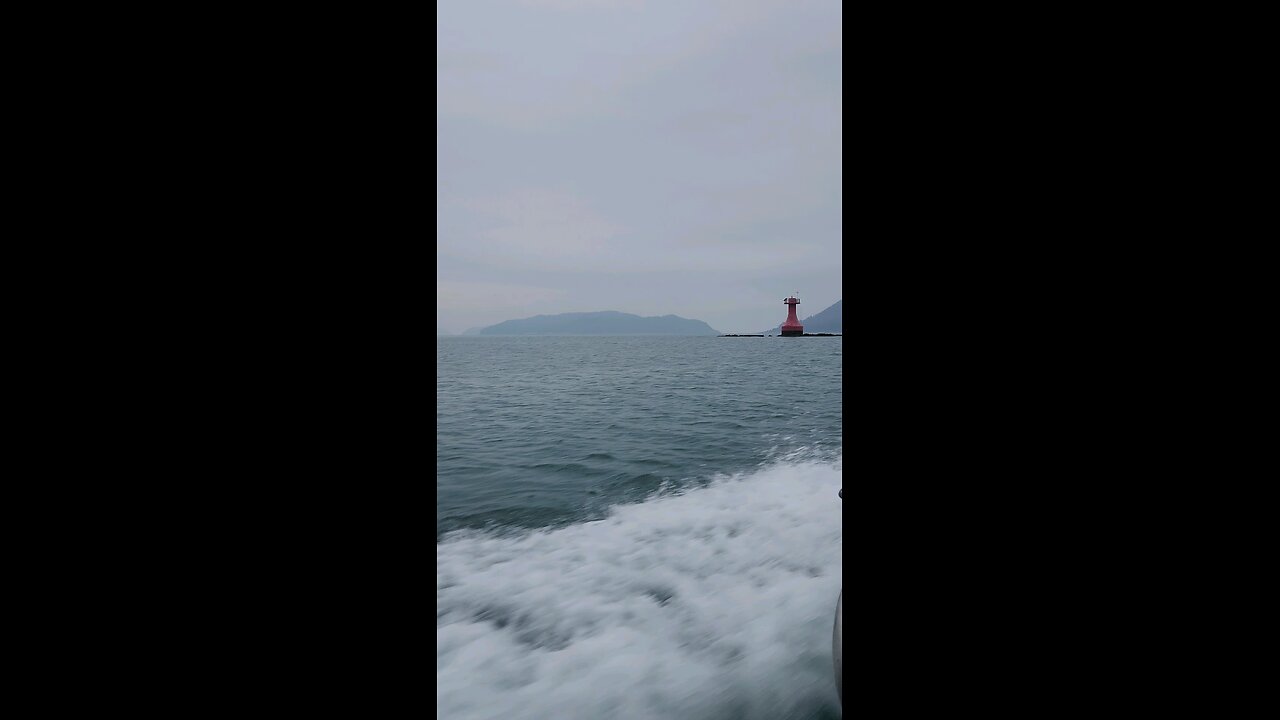 낚시대