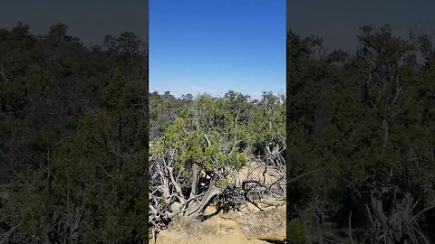 July 4, 2023, visiting the east end of my property in the Candy Kitchen/Ramah Navajo area.