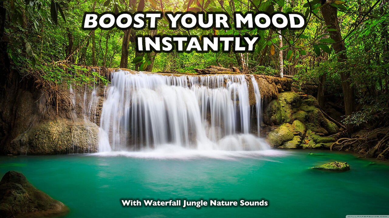 Waterfall Tropical Jungle Nature Sounds | Singing Birds Ambience | BOOST YOUR MOOD INSTANTLY!