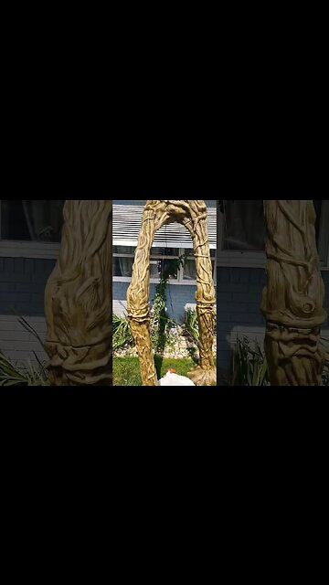 Now I seen it all. 🥰😁 #fypシ Rofl #shorts