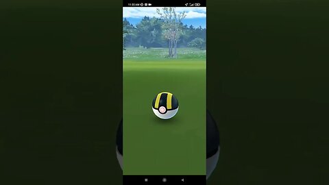 Pokémon GO-Shiny Electabuzz