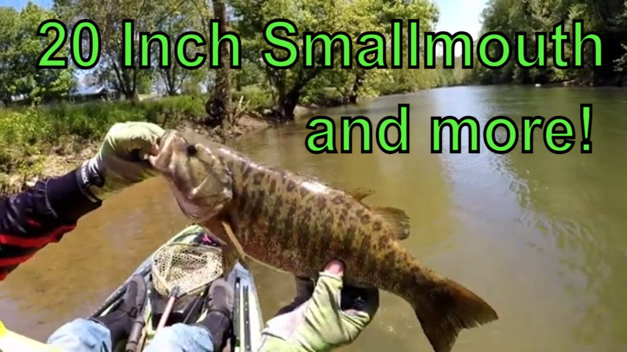 20 inch Smallmouth and more!