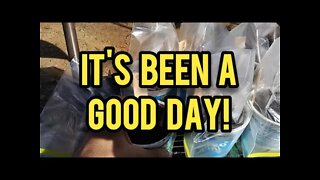 It's Been a Good Day! - Ann's Tiny Life