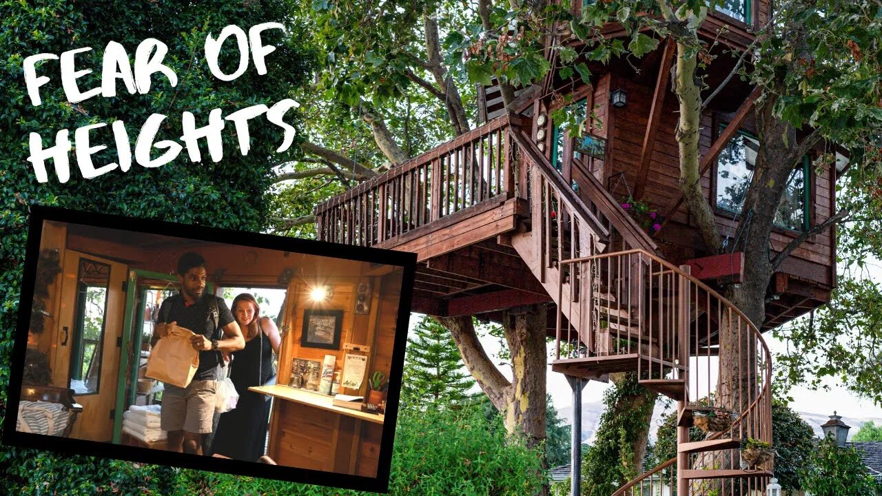 24 Hours On Tree Challenge | American luxury version