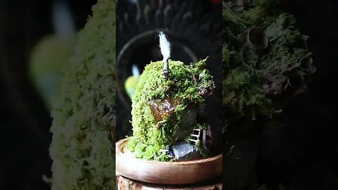 🪴 Illuminated Hobbit Homes 🪴 [360]