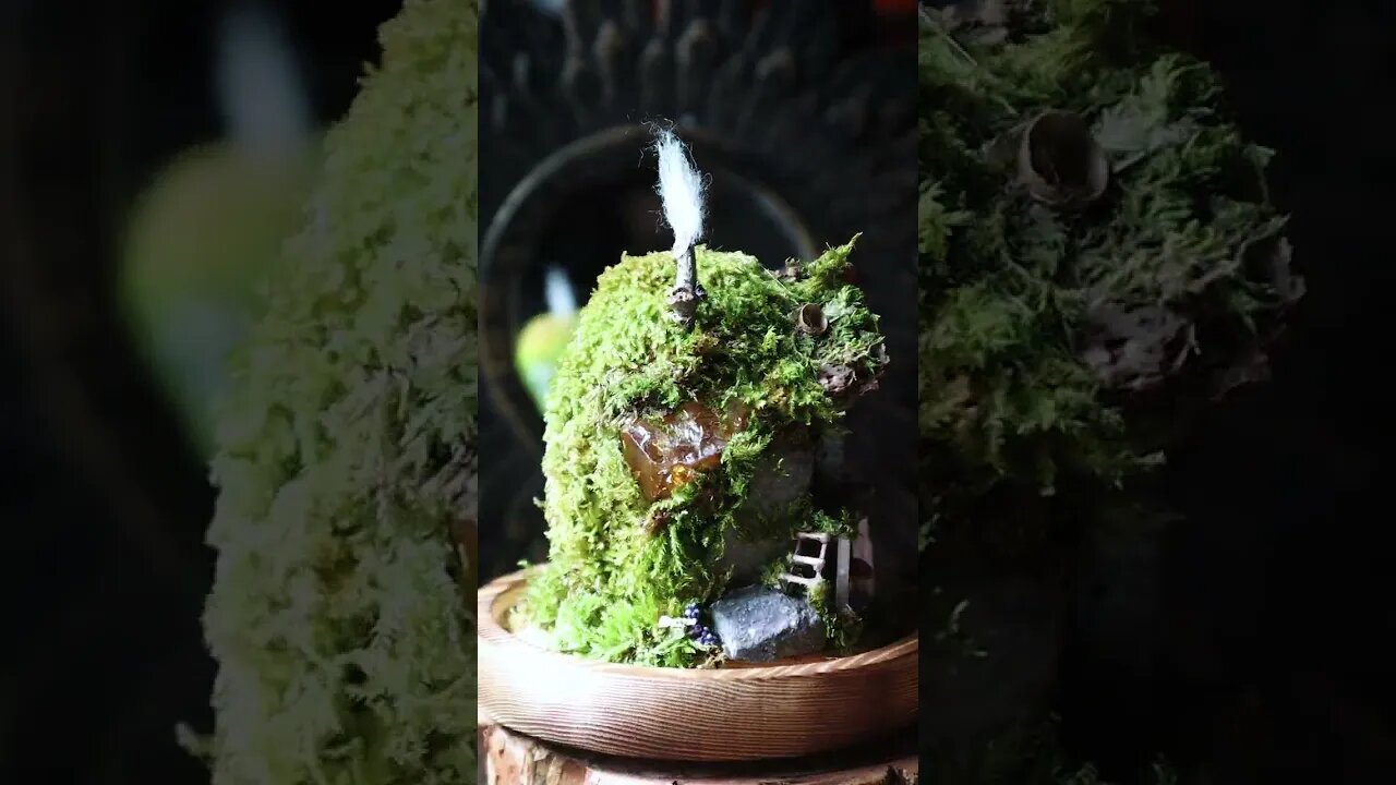 🪴 Illuminated Hobbit Homes 🪴 [360]