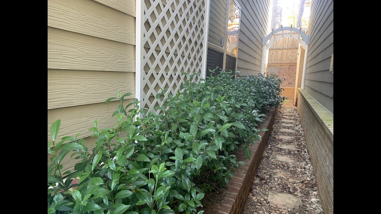 Recording healthy plants