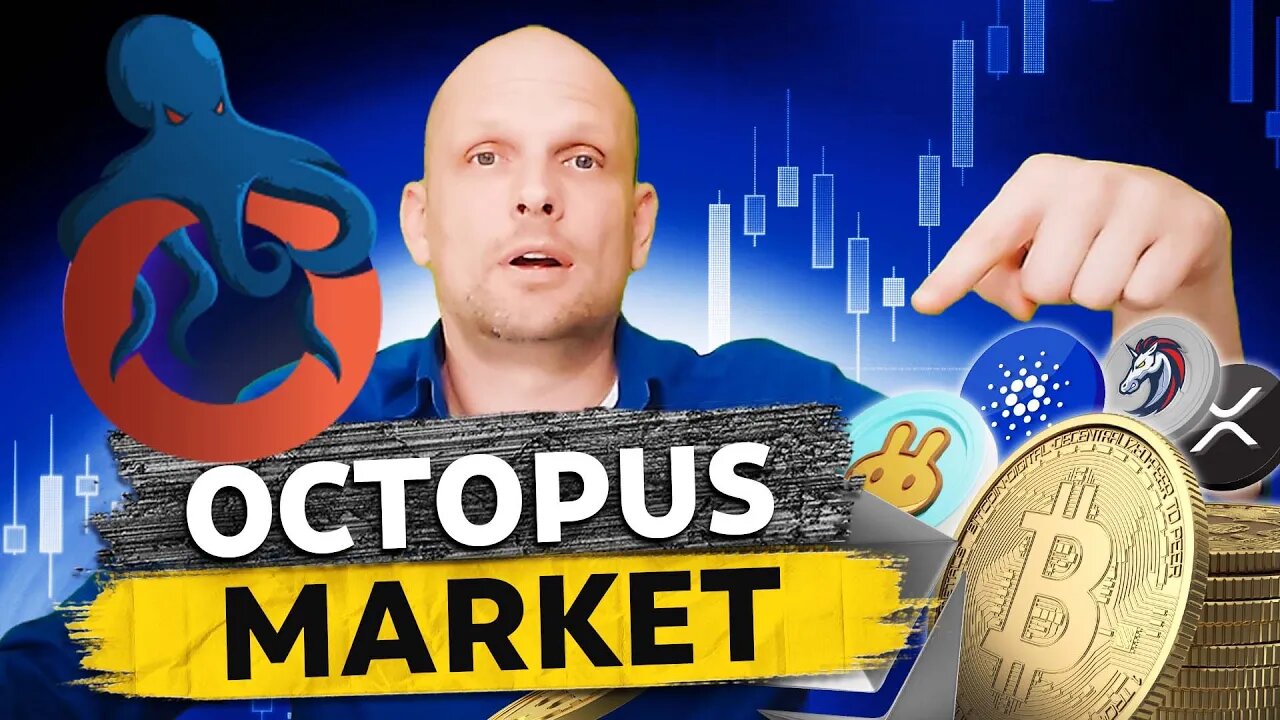 NEW CRYPTO PPROJECT OCTOPUS MARKET OTP REVIEW!?!