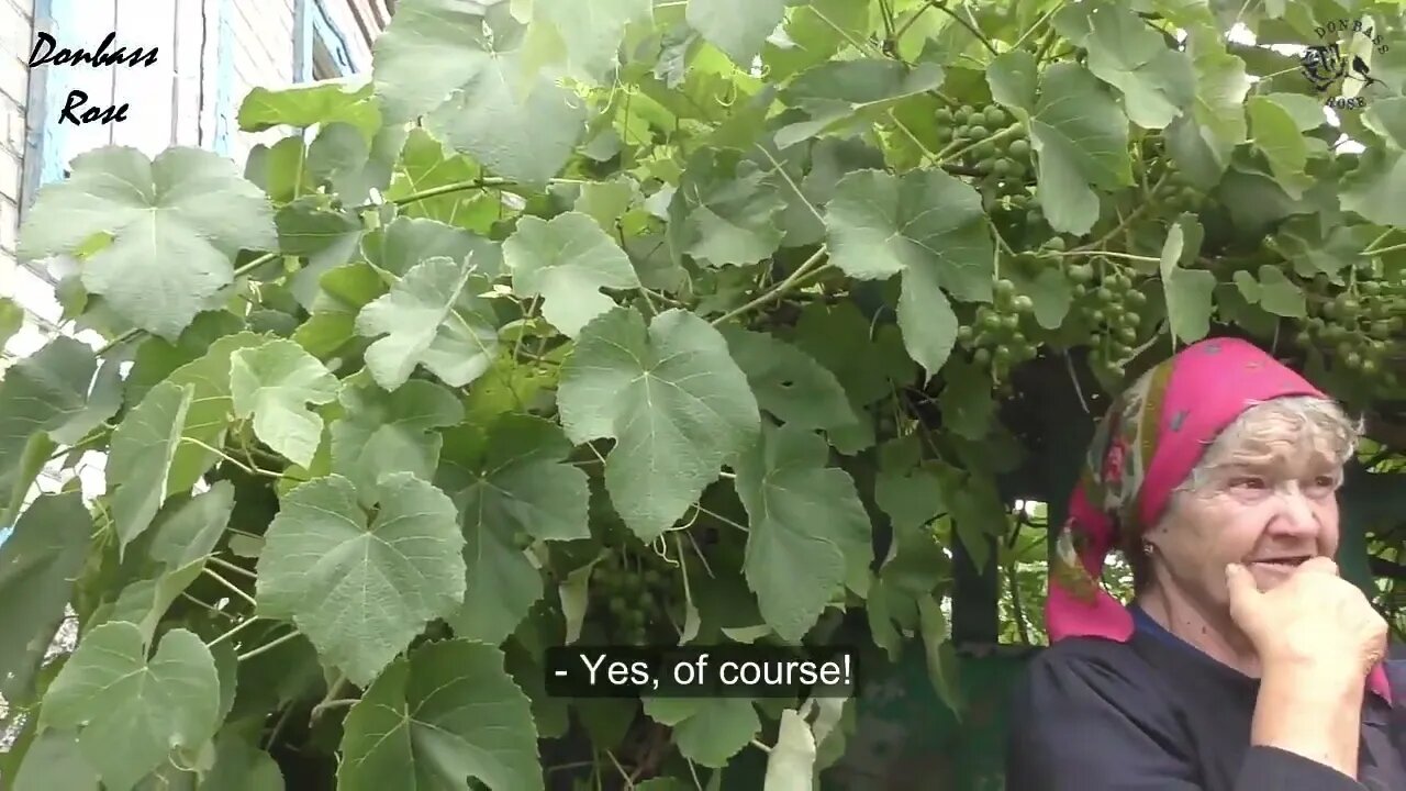 Interview with local from Donbass pre-Russian invasion