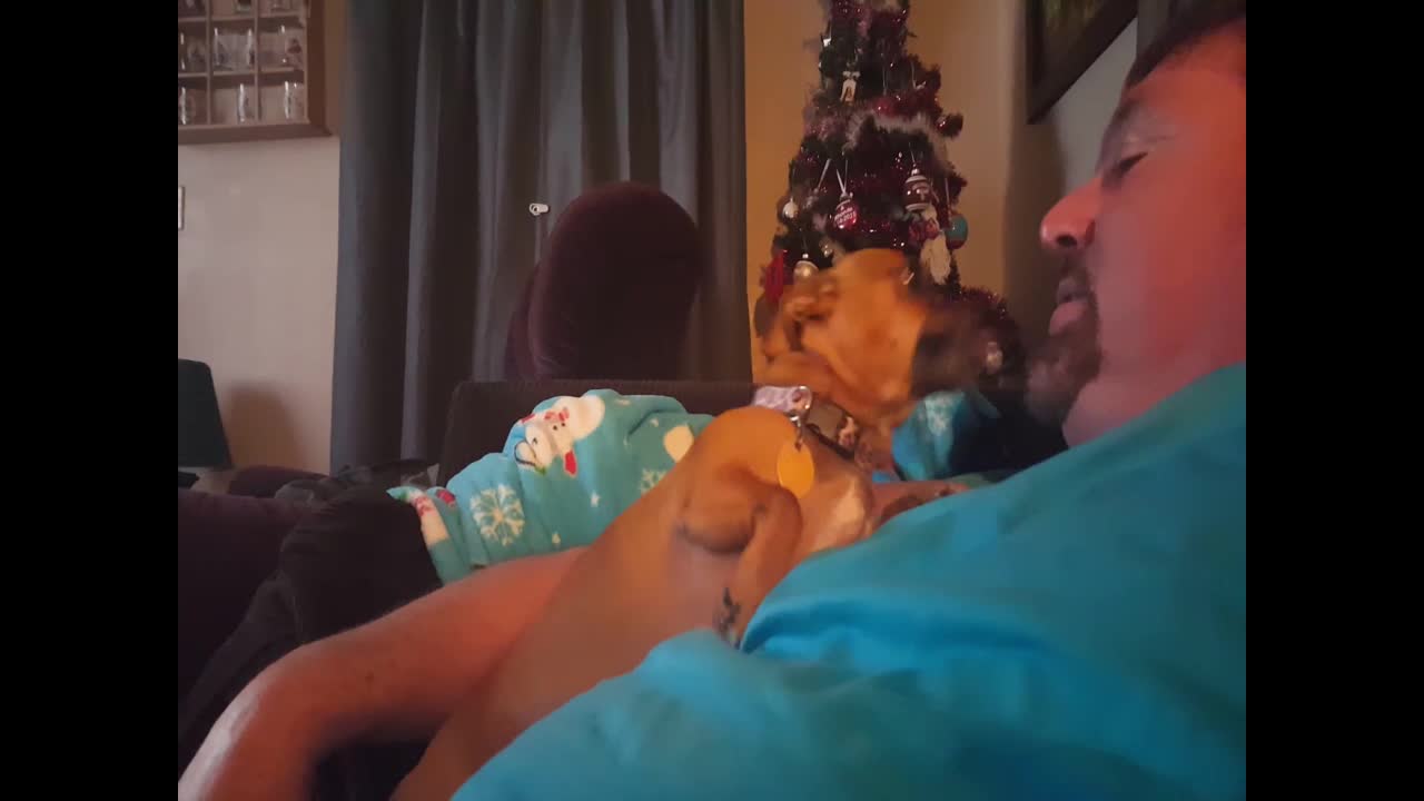 Dog LOVES giving his Owner Kisses