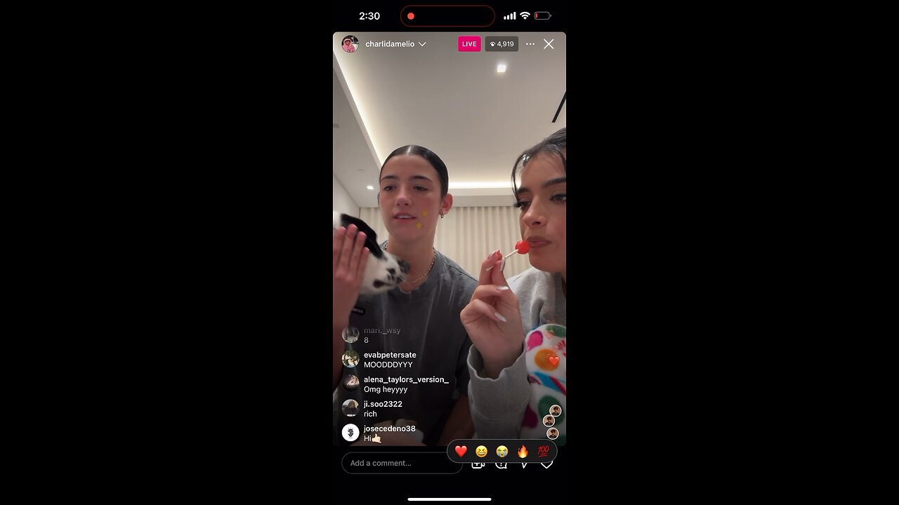 Charli Damelio with Dixie (Instagram Live) Part 2