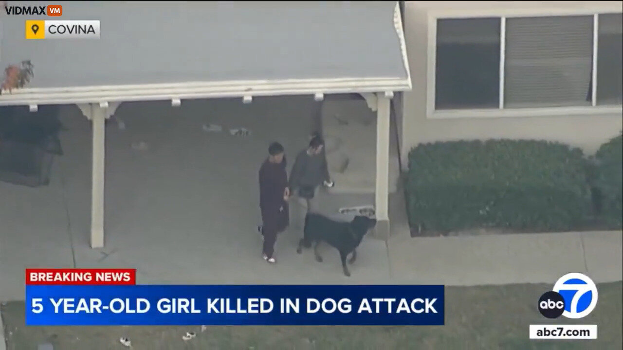 Two Rotweillers Maul A 5-Year-Old Girl To Death Inside A Million Dollar Home