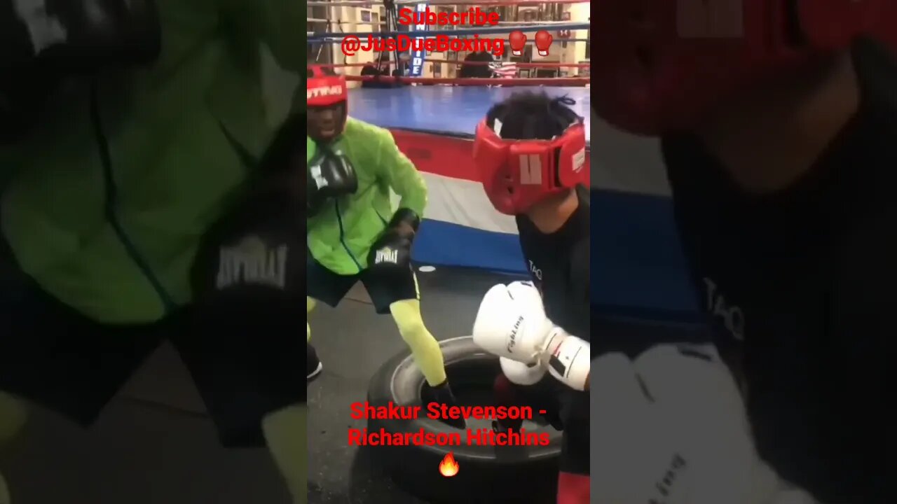 (skills) Shakur Stevenson vs Richardson Hitchins tire drill🔥 #shakurstevenson #richardsonhitchins 🥊🥊