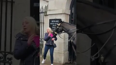 Look at the shock look on her face horse bites #horseguardsparade