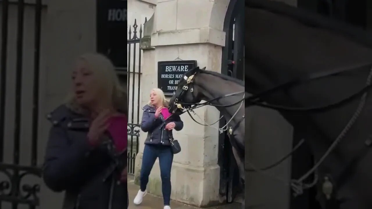 Look at the shock look on her face horse bites #horseguardsparade