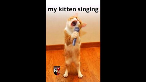 My kitten singing