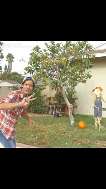 The Ultimate Donald Trump Meme!