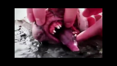 19 SCARY Events Caught on Tape