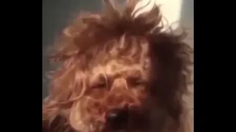 Quando o alarme da segunda feira toca