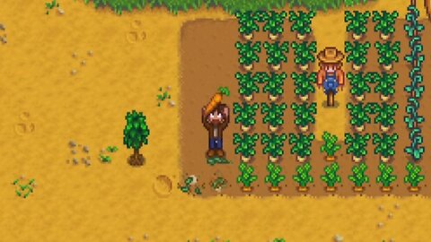 Stardew Valley Playthrough Part 9