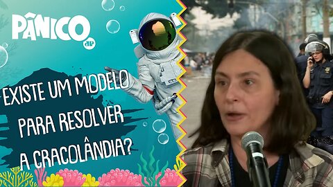 Outros países já combateram 'CRACOLÂNDIAS'? Soninha Francine responde