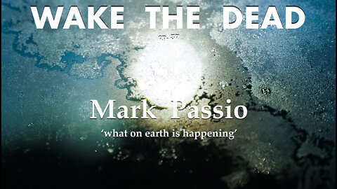 WTD ep.37 Mark Passio 'what on earth IS happening'