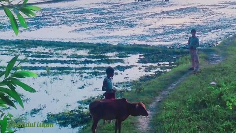 Natural beauty_by_Bangladesh morning seen