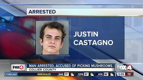 Man arrested for shrooming