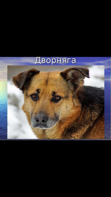 This is a guy! Handsome, how he did not see me for a long time