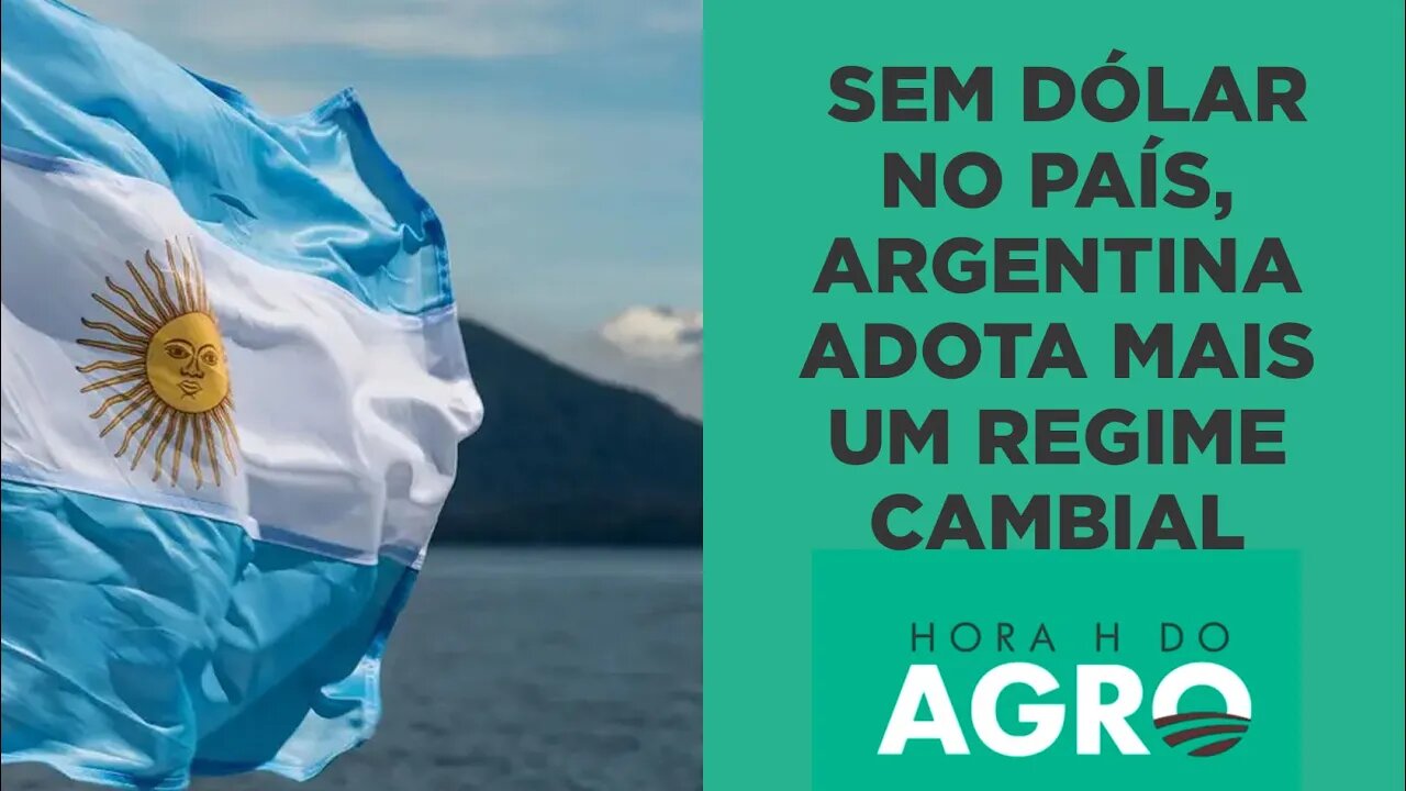 Após "dólar Catar" e "dólar luxo", Argentina cria pela segunda vez o "dólar soja" | HORA H DO AGRO