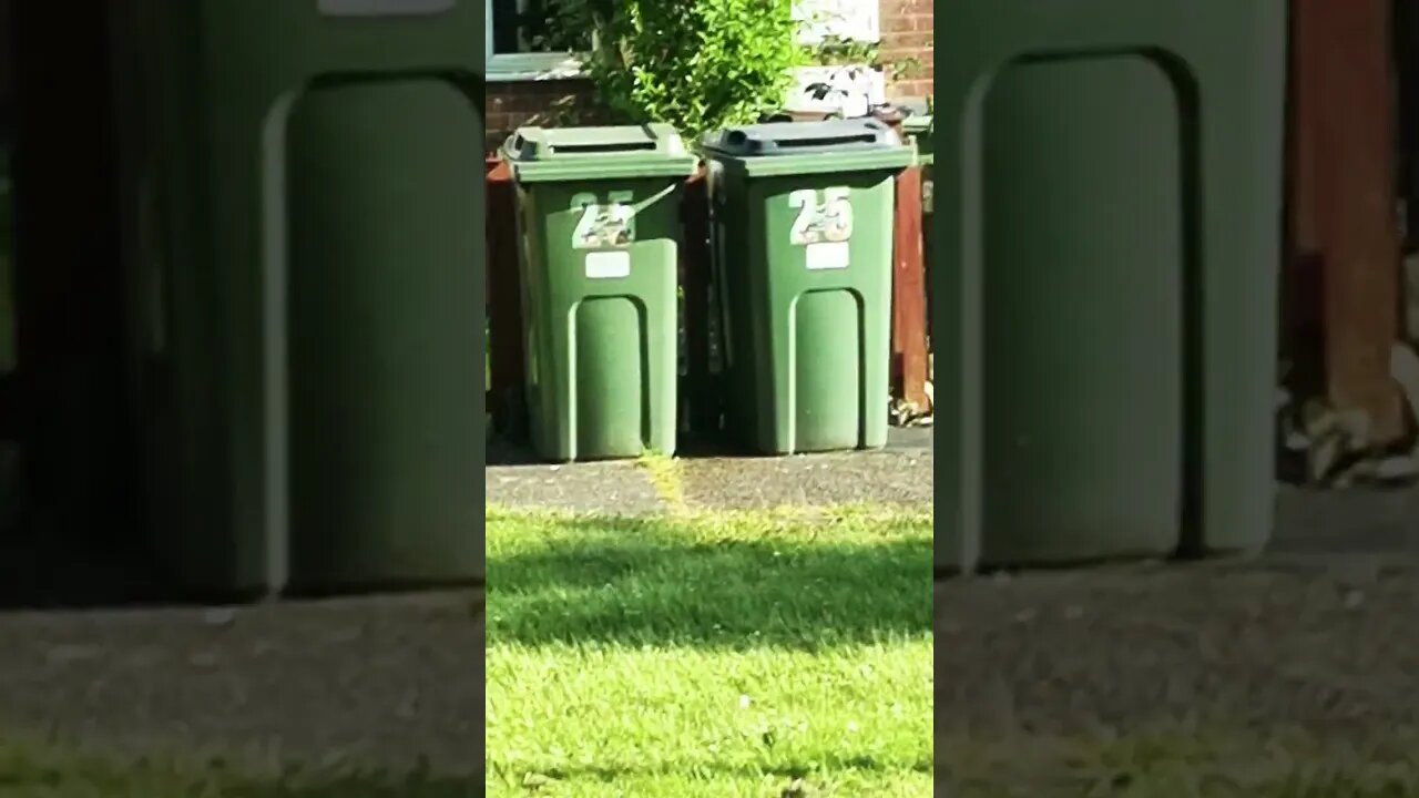 flowers 💐 in bloom ✨️ enjoy