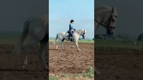 it’s prob obvious Video By horsegirlclaire #Shorts