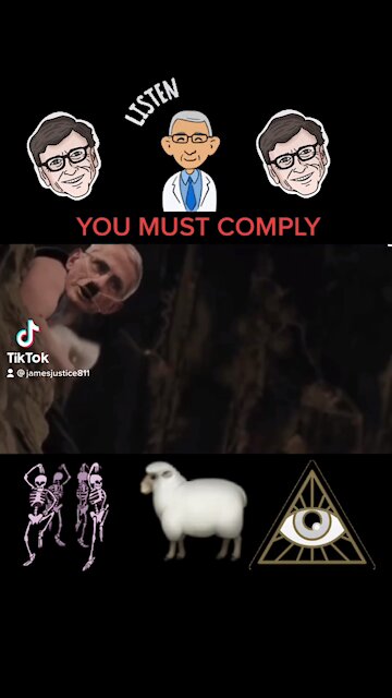 It puts the needle in its skin #UCNYNEWS