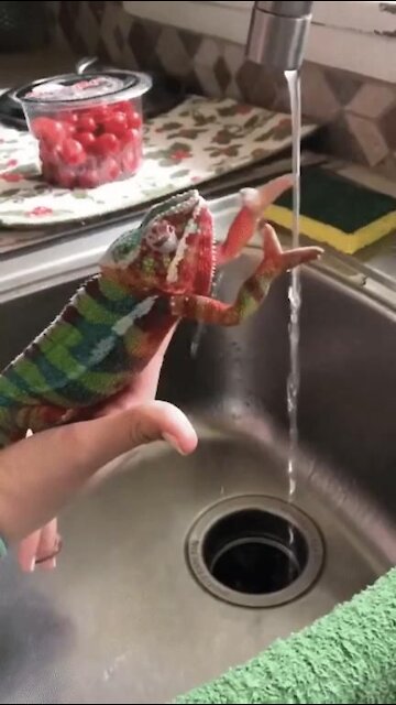 You can protect yourself from COVID-19