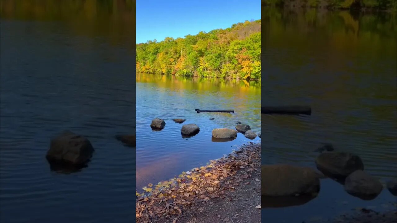These Ripples are Like Magic | Platinum Ray | Pamela Storch