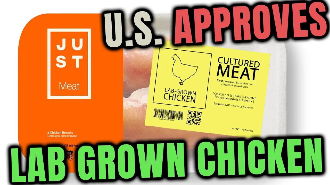 ๐U.S. Approved Lab Grown Chicken for Sell by Two companies backed by Bill Gates ๐งช