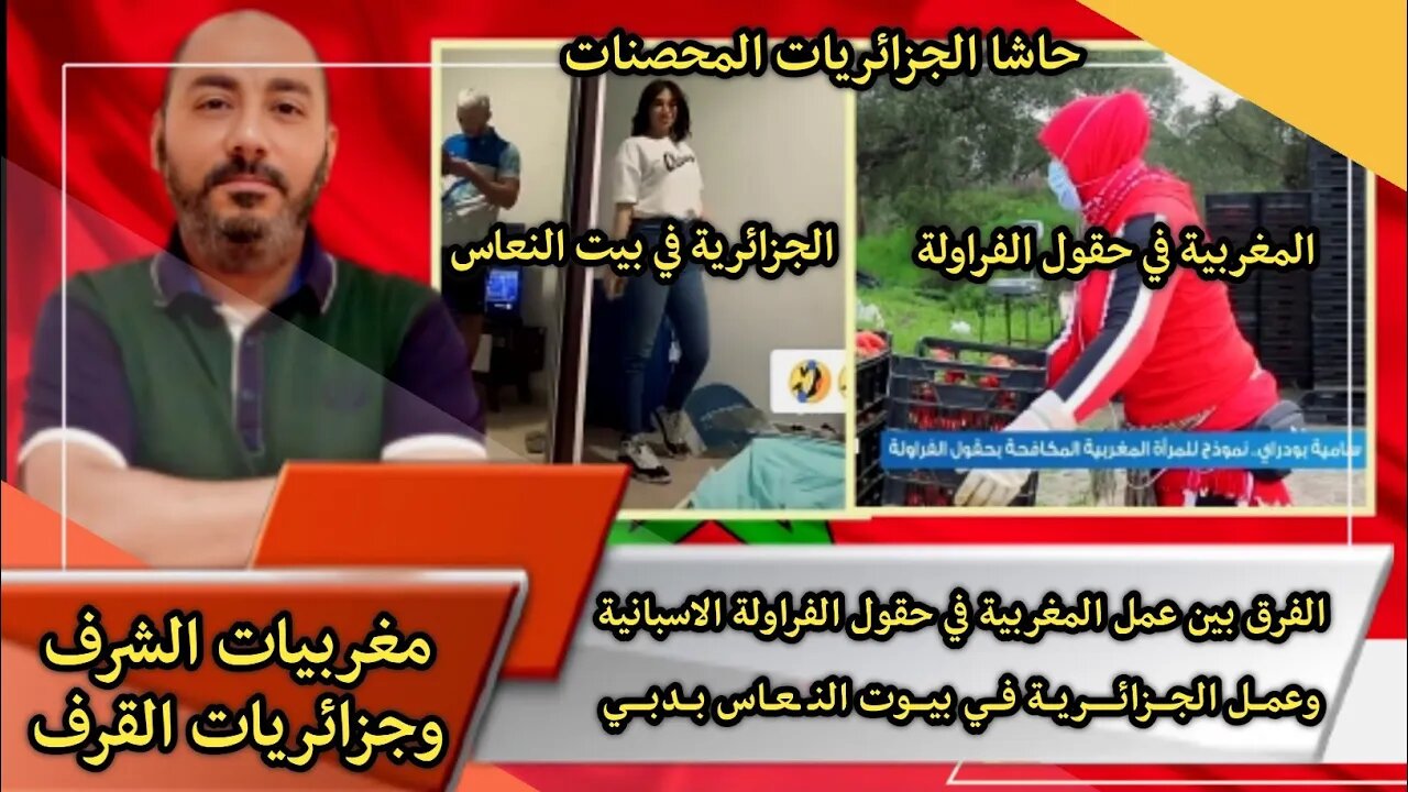 الفرق بين عمل المغربية 🇲🇦 في حقول الفراولة الاسبانية - وعمل الجزائرية🇩🇿 في بيوت النـ ـعاس الاماراتية