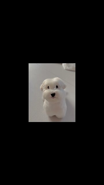 17 de janeiro de 2023